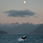 Alaskan Moonrise